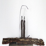 Eisenfigur auf Holz, Länge 1m, 2014